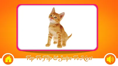 Captures d'écran de Flash Cards - Animals - HD