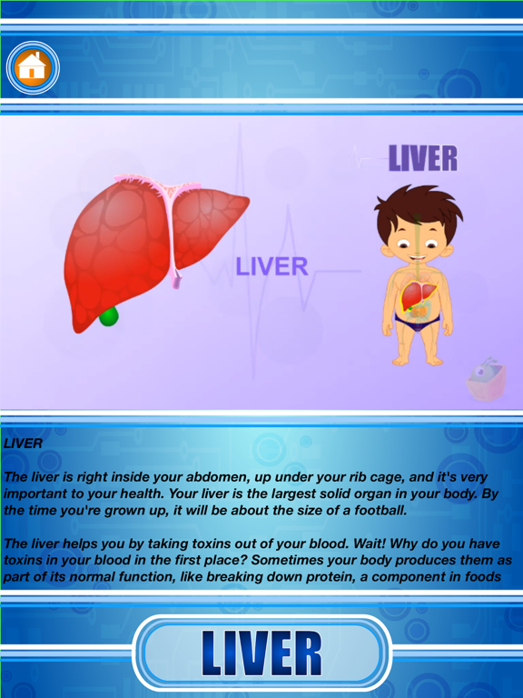 Capturas de pantalla de Human Body - Internal Organs iPad 