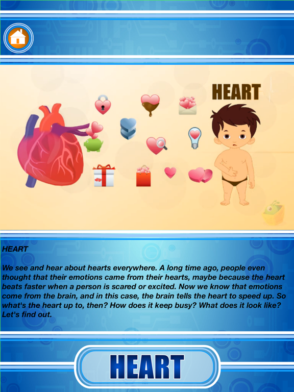 Capturas de pantalla de Human Body - Internal Organs iPad 