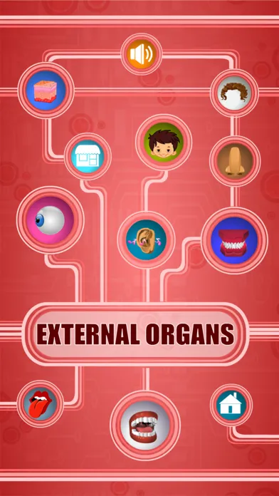 Human Body - External Organs Screenshots