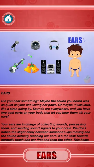 Human Body - External Organs Screenshots