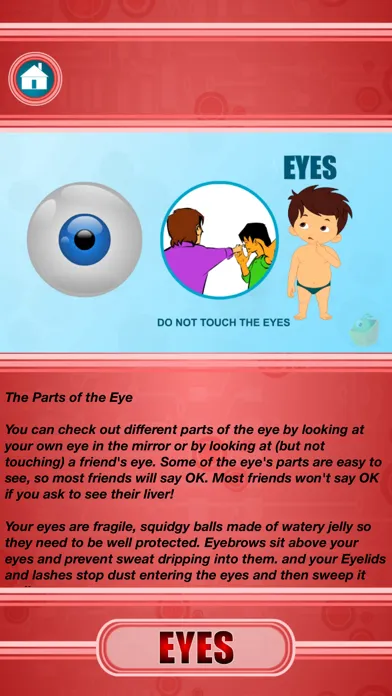 Human Body - External Organs Screenshots