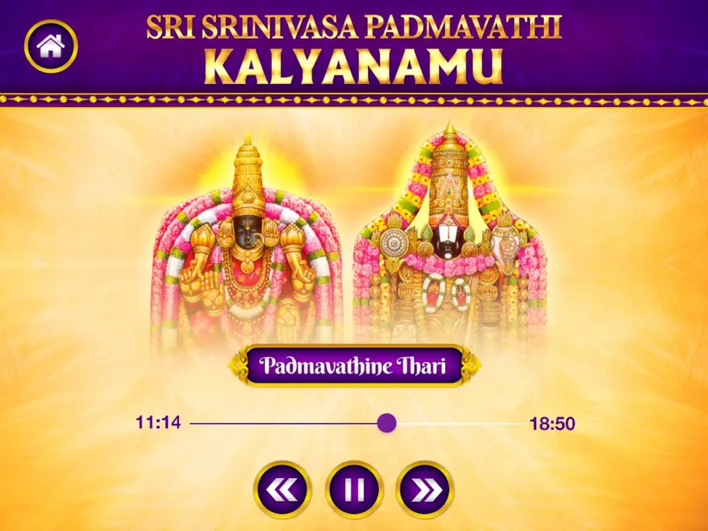 Ảnh chụp màn hình của Srinivasa Padmavathi Kalyanamu iPad 