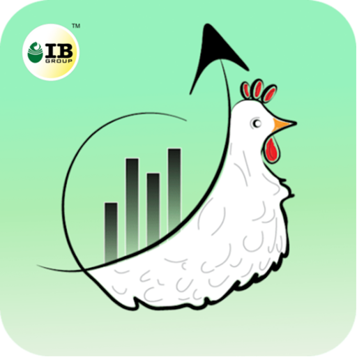 ABIS Chicken Protein Deals ABIS Chicken Protein Deals