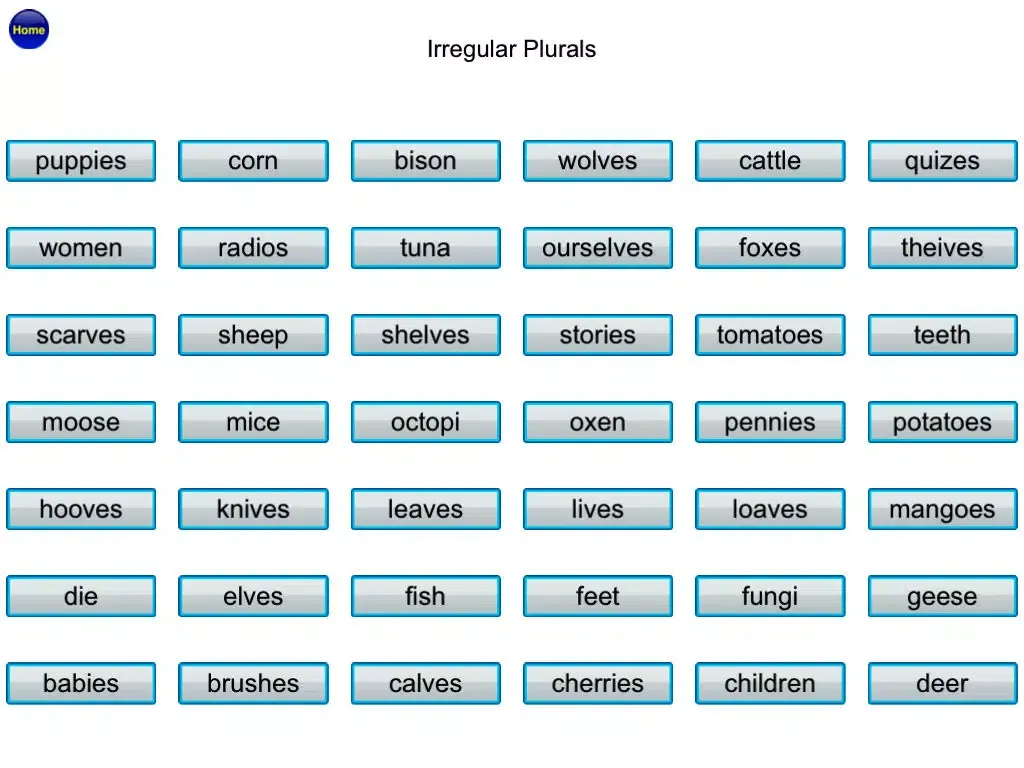 Irregular Plurals Free - English Language Art Grammar App iPad  Screenshots