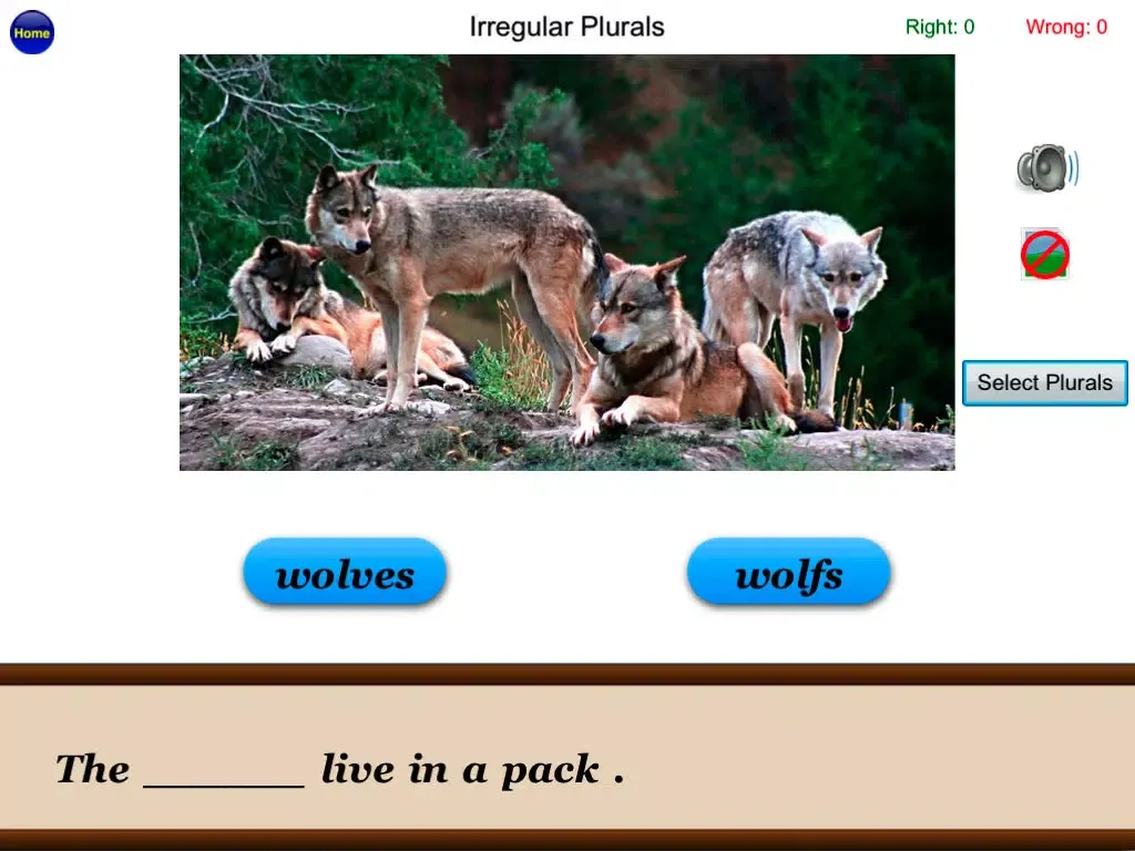 Irregular Plurals Free - English Language Art Grammar App iPad  Screenshots