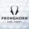 Pronghorn