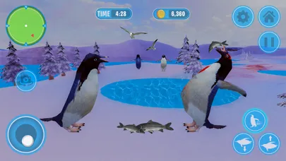 تصاویر Penguin Bird Simulator 3D