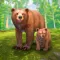 Wild Bear Simulator 3D