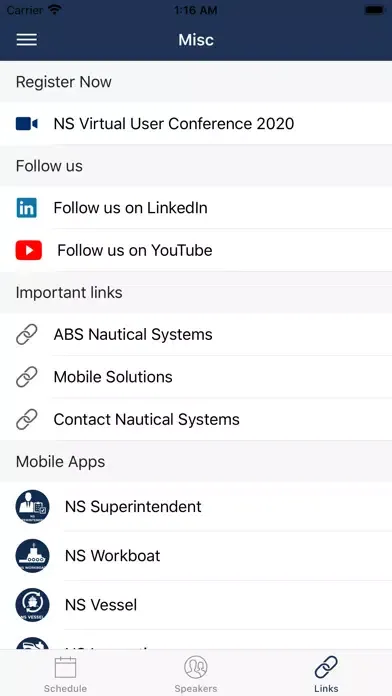 Screenshot di NS User Conference 2020