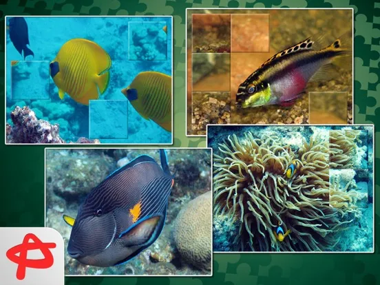 Call of Nature: Free Jigsaw Puzzle iPad  Ekran Görüntüleri