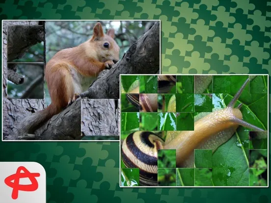 Call of Nature: Free Jigsaw Puzzle iPad  Ekran Görüntüleri