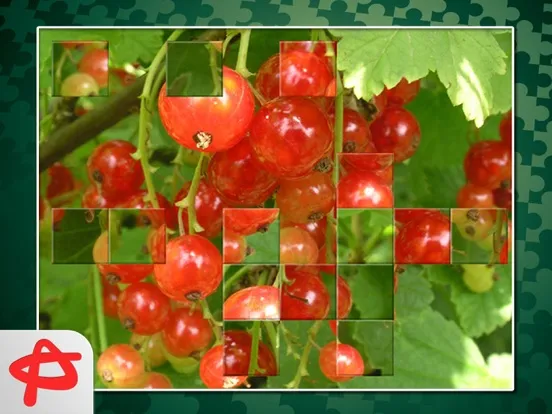 Call of Nature: Free Jigsaw Puzzle iPad  Ekran Görüntüleri