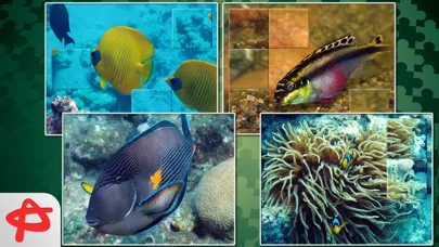 Call of Nature: Free Jigsaw Puzzle Ekran Görüntüleri