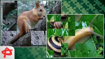 Call of Nature: Free Jigsaw Puzzle Ekran Görüntüleri