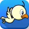 Crazy Flappy Bird - Little birdie flying adventure