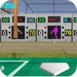 Baseball Batting Cage