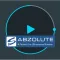 Abzolute MDVR
