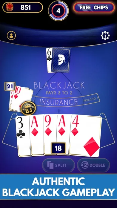 Blackjack Unlimited Ekran Görüntüleri