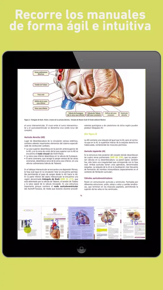 Manuais APNA Screenshots