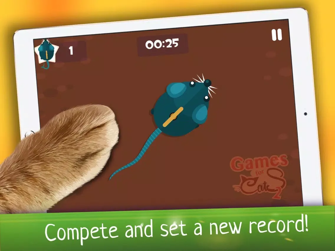 Cats Joy iPad  스크린샷