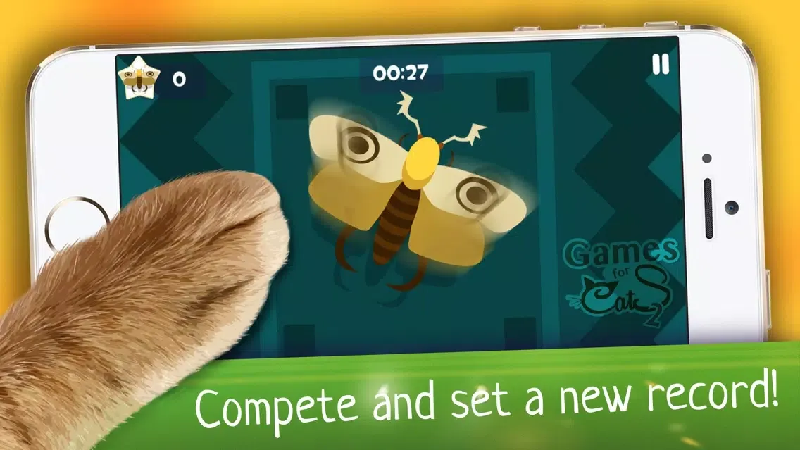 Cats Joy 스크린샷
