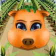 Run Pumpkin Run - The Game