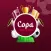 Partidos Copa Información