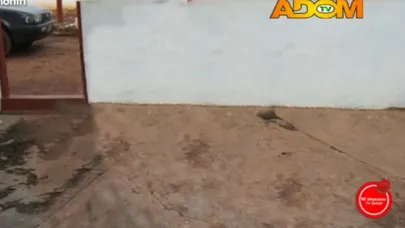 Скриншоты RCS TV