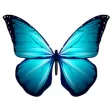Butterfly Stickers For iMessage