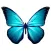 Butterfly Stickers For iMessage