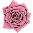 Flower Stickers Pack For iMessage