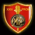 XXIV