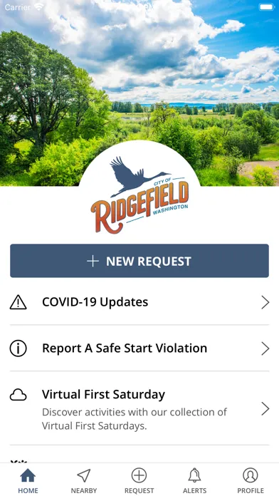 Ảnh chụp màn hình của Access Ridgefield