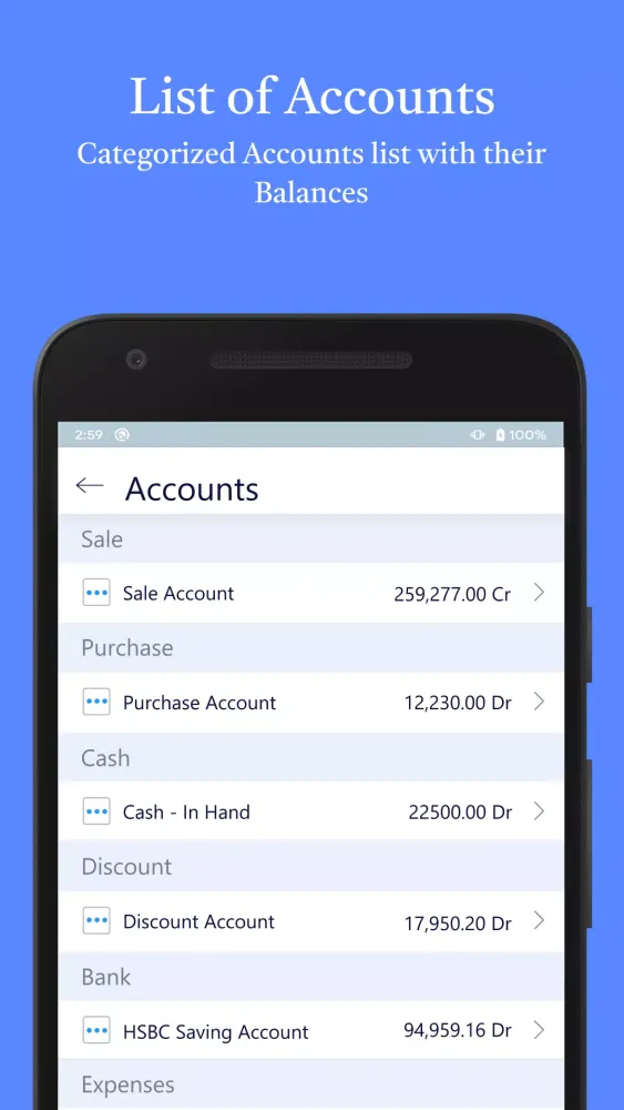 Accounting Bookkeeping Screenshots