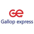 Gallop Business Gallop Business