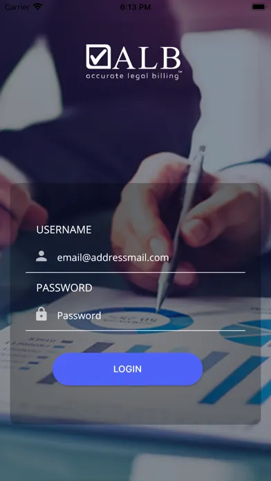 Accurate Legal Billing Ekran Görüntüleri