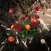 ideas for gifts