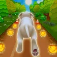 Pet Run - Puppy Dog Run Game Pet Run - Puppy Dog Run Game
