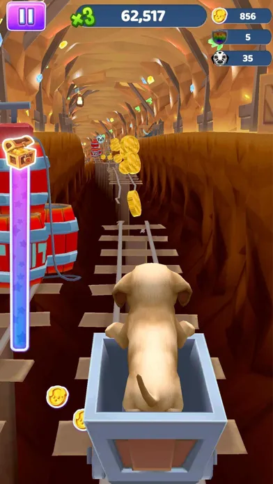 Tangkapan skrin Pet Run - Puppy Dog Run Game