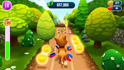 Tangkapan skrin Pet Run - Puppy Dog Run Game