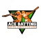 ACE Batting