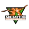 ACE Batting Scanner