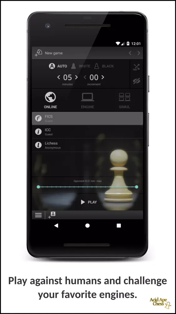 ภาพหน้าจอของ Acid Ape Chess