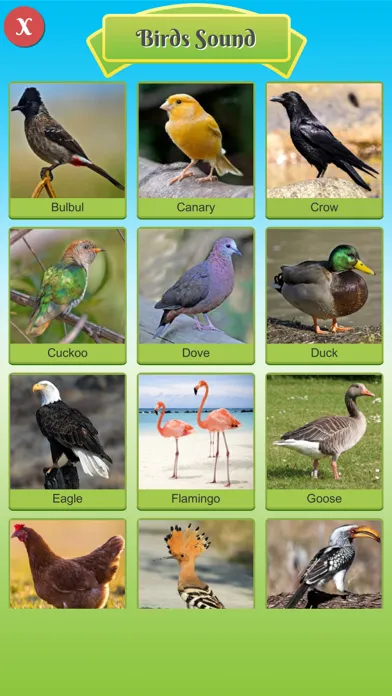100 Animal and Bird Sound स्क्रीनशॉट