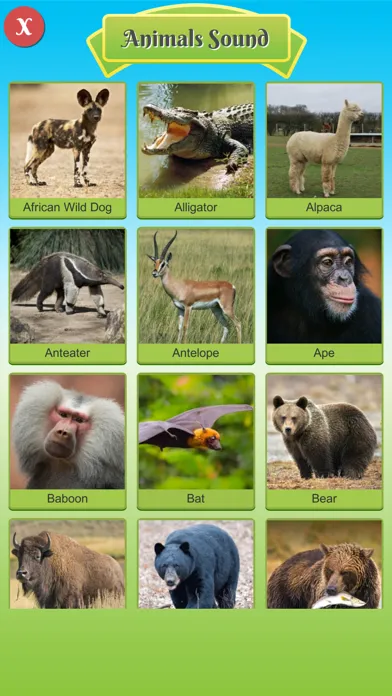 100 Animal and Bird Sound स्क्रीनशॉट