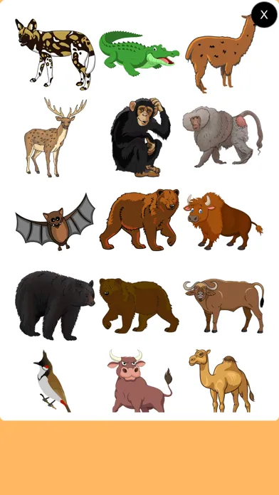 Bird and Animal Puzzle Screenshots