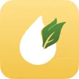 Young Living Essential Guide + Young Living Essential Guide +