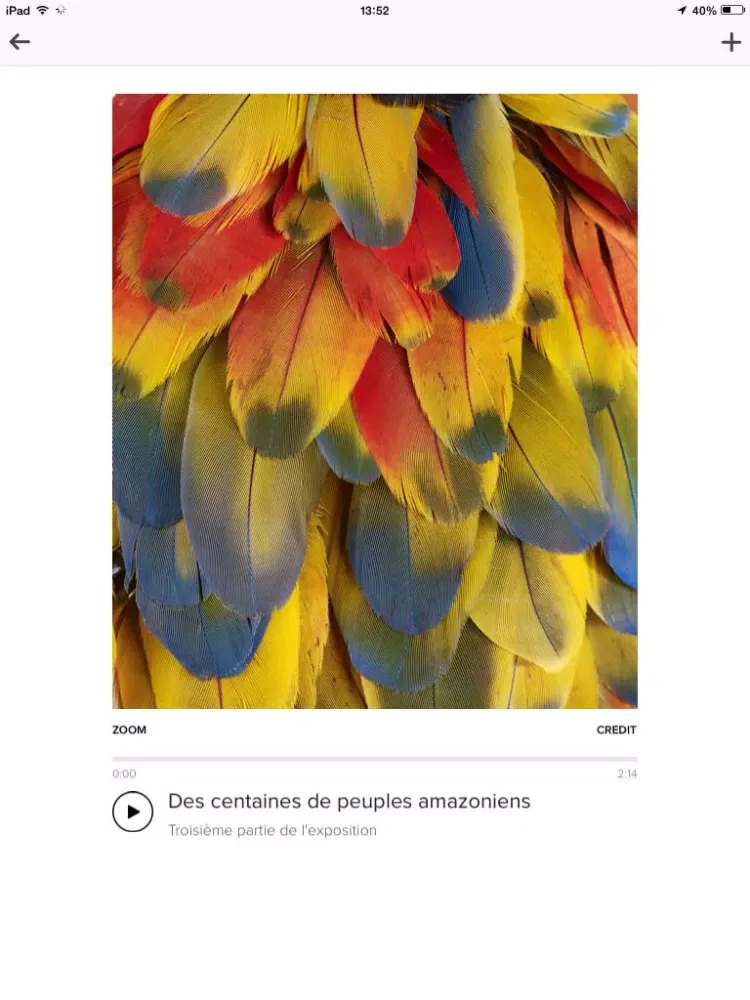 Screenshot di Amazonie iPad 