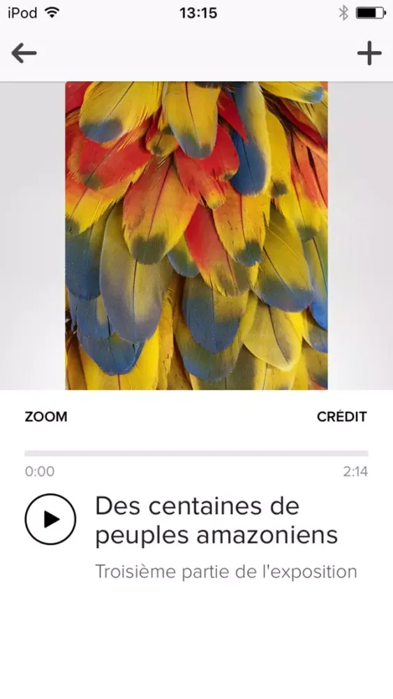 Screenshot di Amazonie
